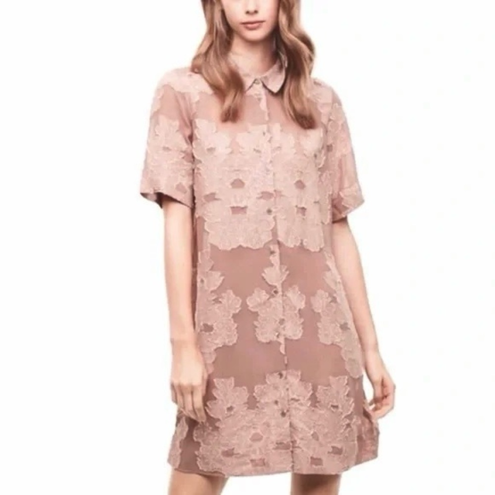 🩷 Wilfred Floral Pink Sheer Button Dress